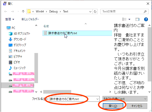 拡大画像表示